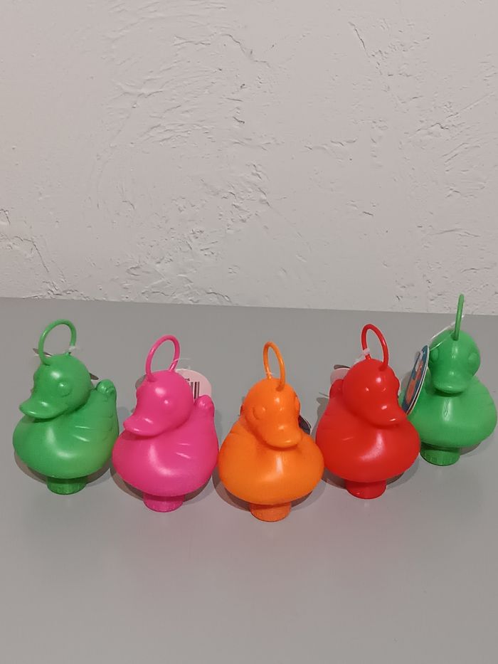 Canards pêche à la ligne - photo numéro 4