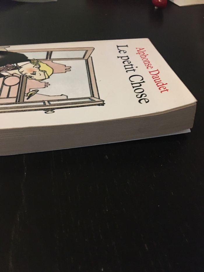 Livre jeunesse - le petit chose - photo numéro 6