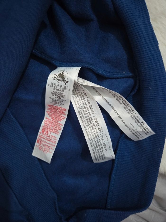 Sweat zip à capuche logo ©️ Disneyland Paris✨️ taille L +1 goodies 🎁 Disney offert - photo numéro 4