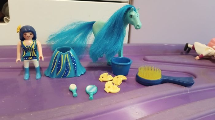 Playmobil princesse et cheval