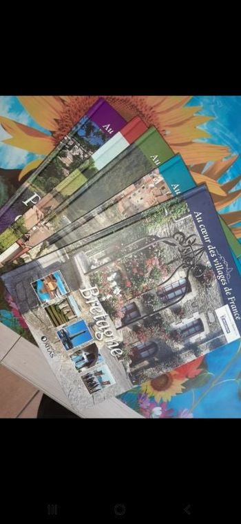 Lot 5 livres au cœur des villages de France