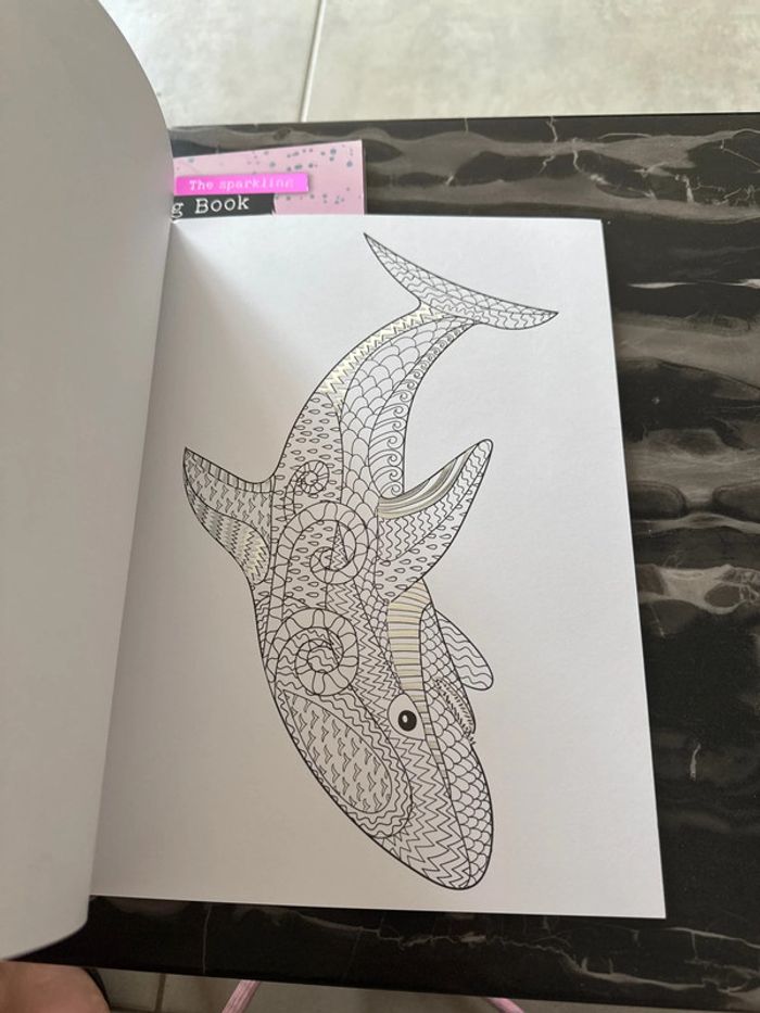 Lot cahier de coloriage - photo numéro 7
