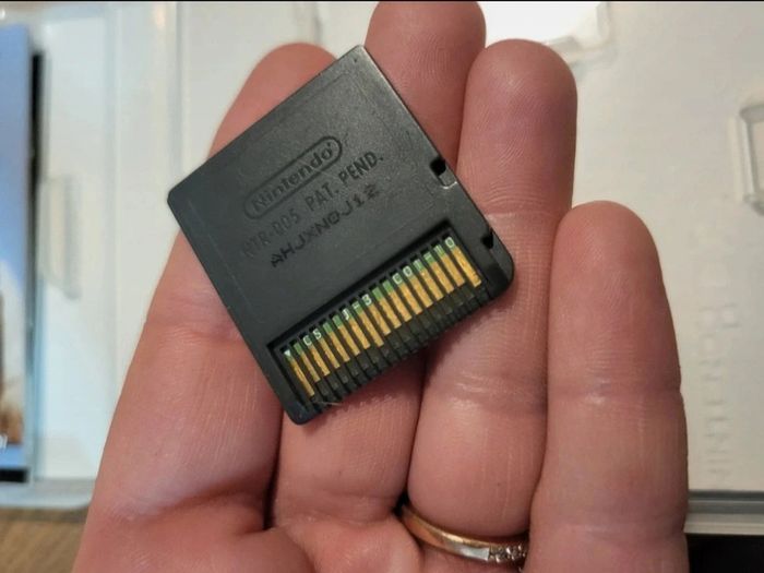 Jeu ds chiens et chats - photo numéro 5