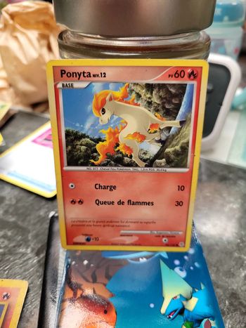 Pokémon ponyta niv12