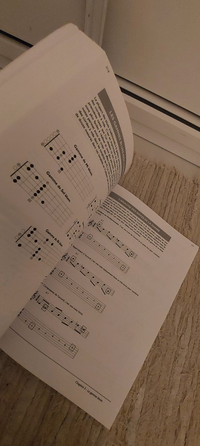 David hamburger & matt
smith
⁃ Blues guitare edition
complete ⁃ recueil +
cd-mp3
version francaise - photo numéro 5