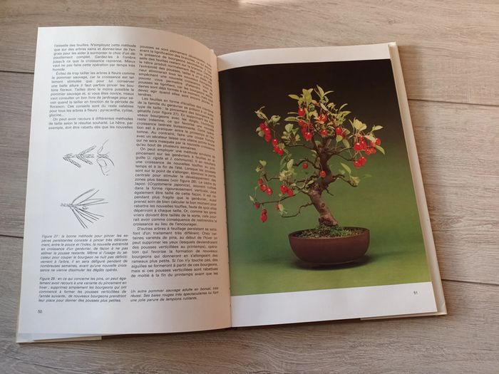 Livre Bonsaïs par Christine Stewart - photo numéro 5