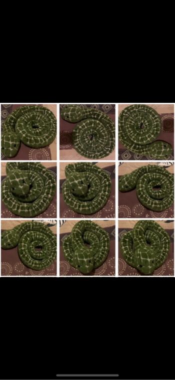 Géant serpent minimum 2metre anacondas