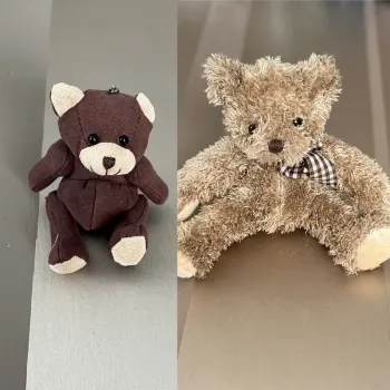 Lot de 2 nounours