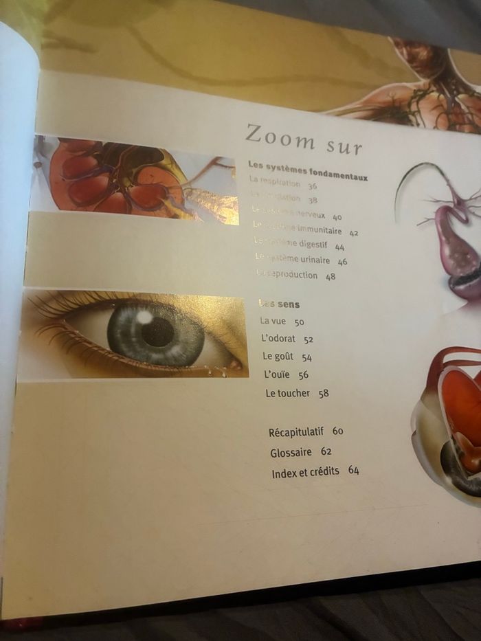 Livre Le corps humain - photo numéro 4