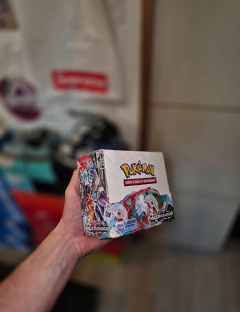 Pokémon Display EV4 Faille Paradoxe