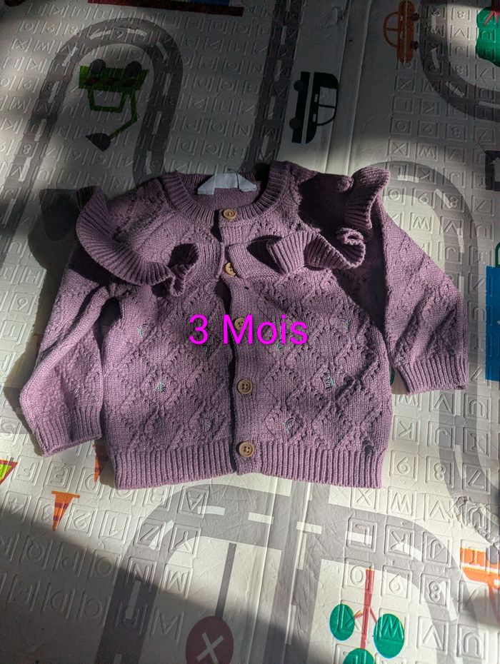 Gilet violet