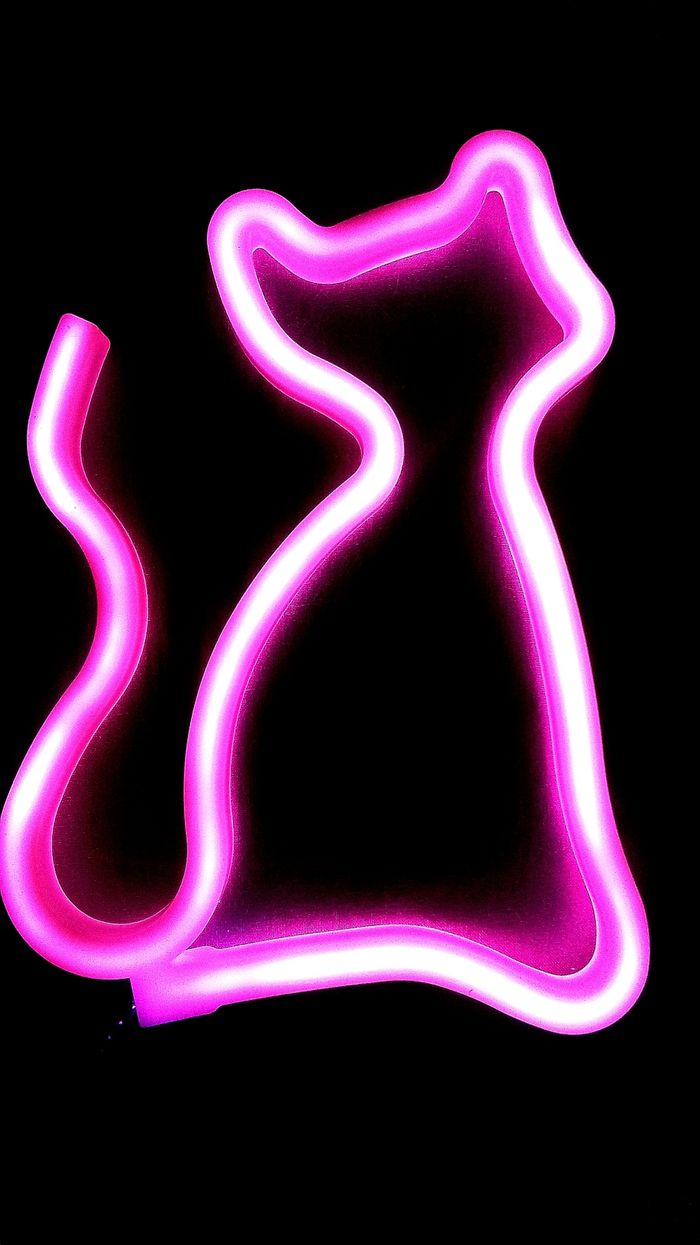 Lampe néon rose forme de chat - photo numéro 3