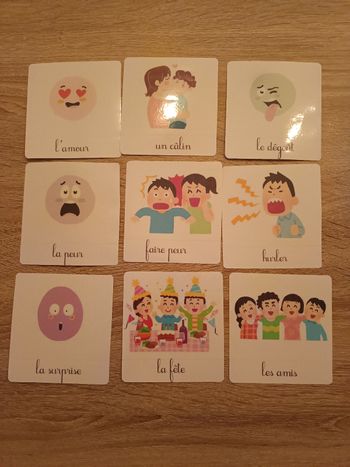 Montessori les émotions