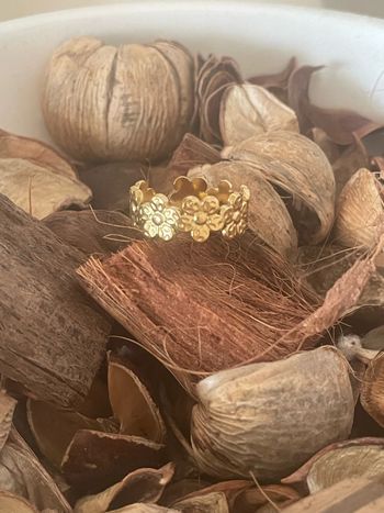 Bague acier inoxydable