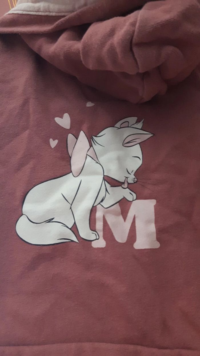 Veste - photo numéro 3