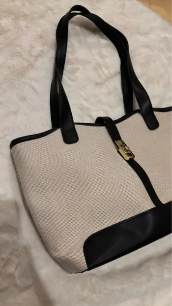 Sac beige et noir