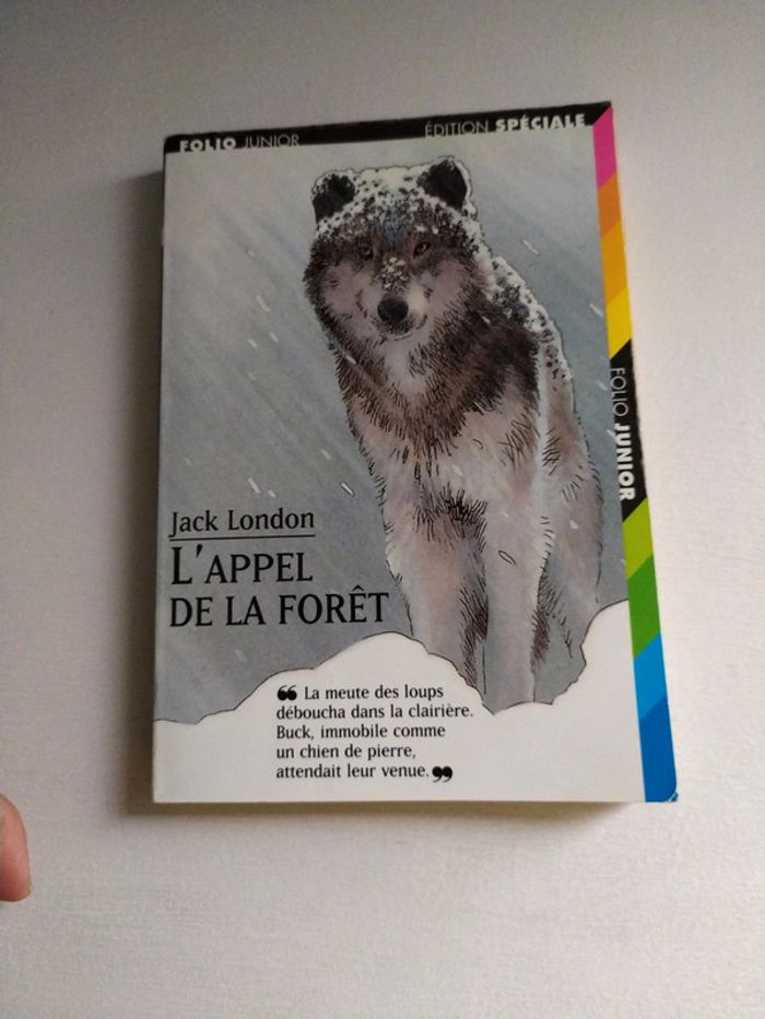 Lot de 4 livres Folio Junior 11 ans - photo numéro 8