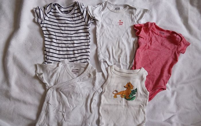 Lot bodies 6M