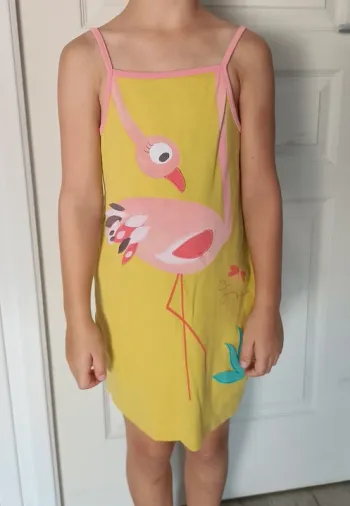 Robe du pareil au même
