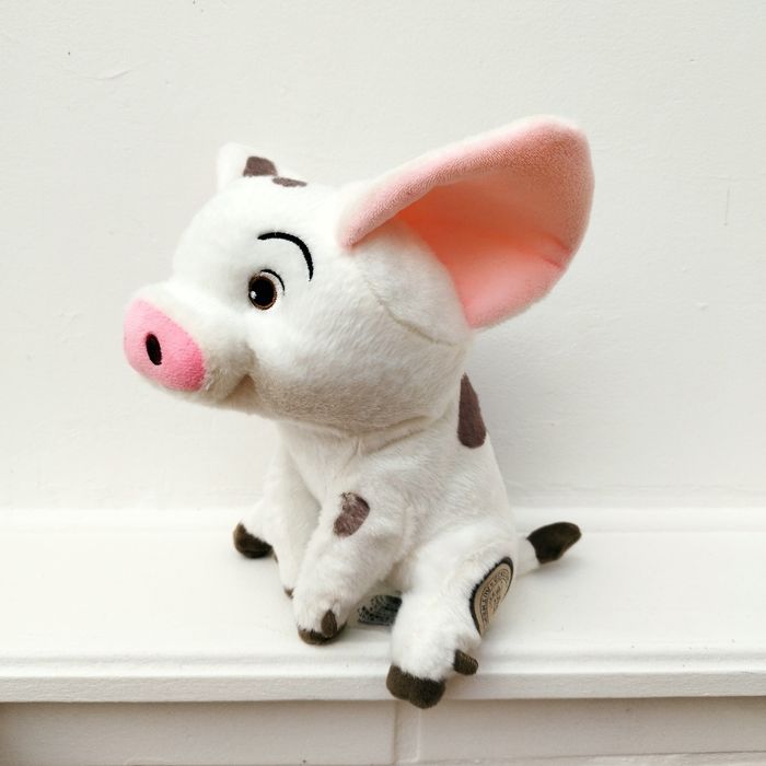 Cochon Pua Vaiana - photo numéro 1