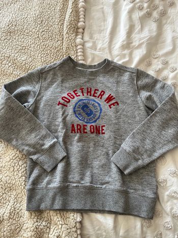 Pull gris