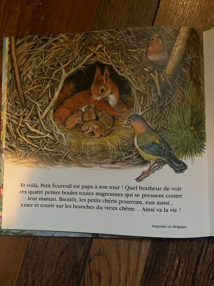 Livre Sur les traces de Petit écureuil - photo numéro 3