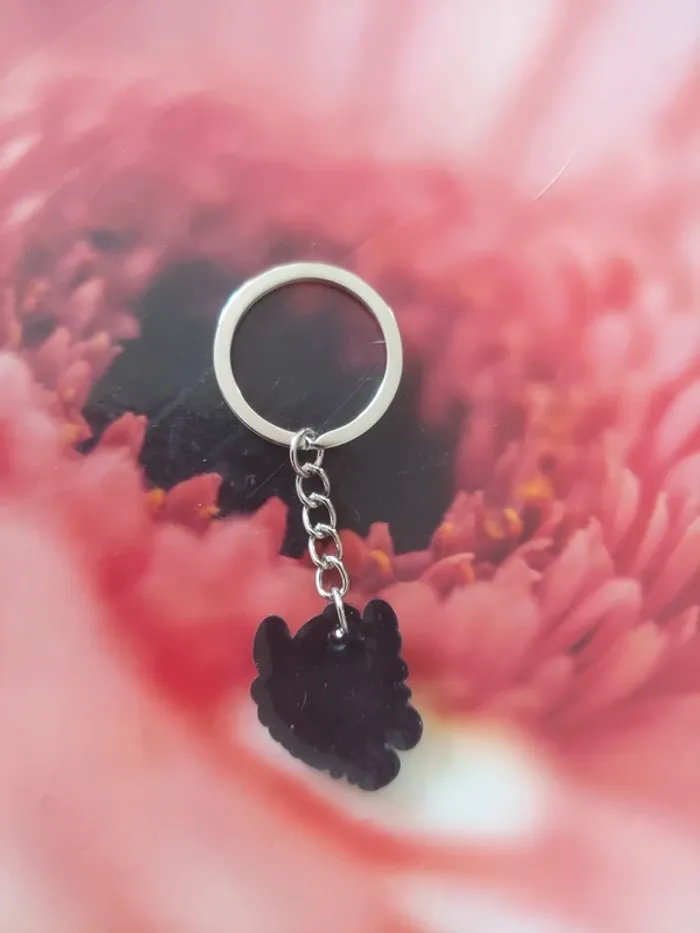 Porte-clé - photo numéro 2
