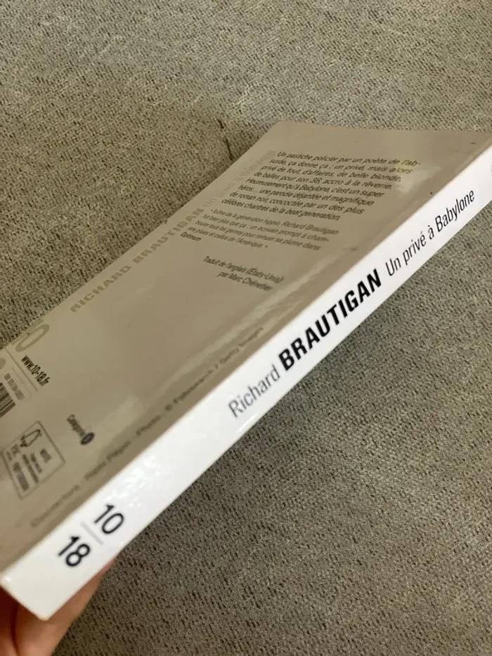 Un privé à Babylone – Richard Brautigan – Édition 10/18 - photo numéro 4