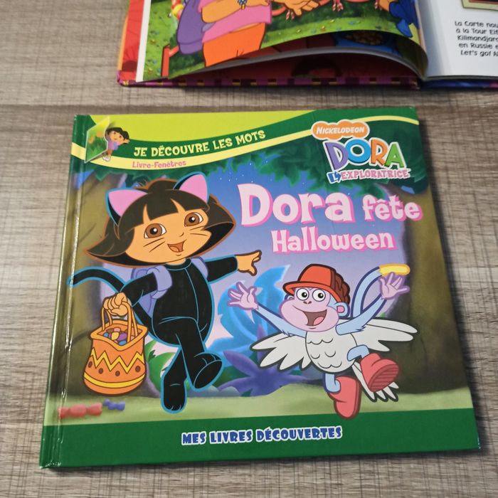 Lot livres et cubes Dora l'exploratrice - photo numéro 4