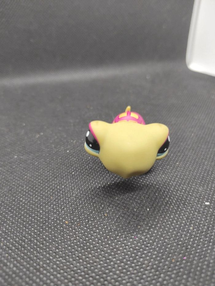 Littlest Petshop LPS tortue turtle 1310 hasbro #geektradelpstortue - photo numéro 2