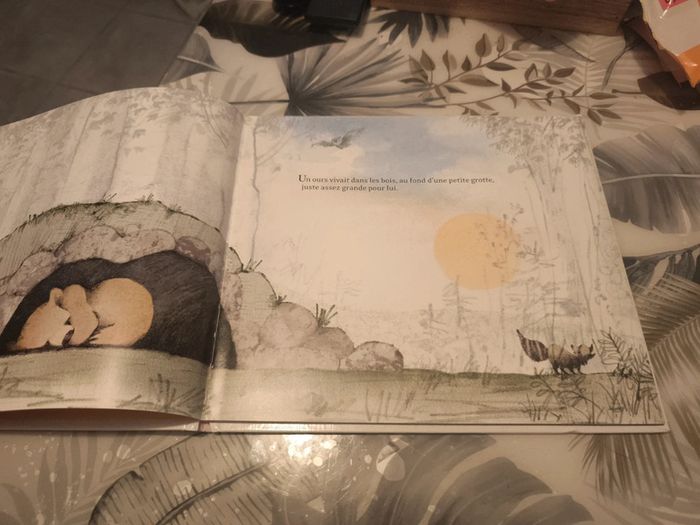 Album école des loisirs un amour d'ami - photo numéro 2