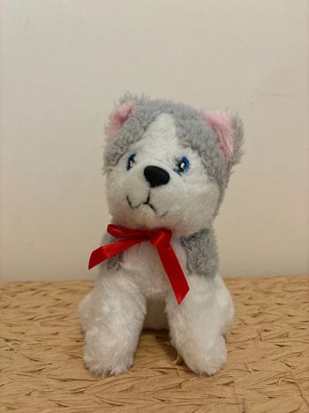 Doudou chien