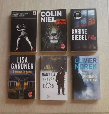 Lot 6 Thrillers format poche