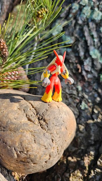 Super figurine Pokemon Nintendo Brasegali