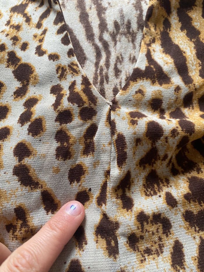 Morgan leopard - photo numéro 11