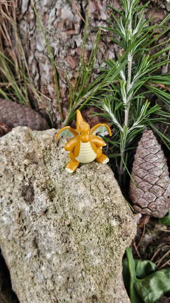 Super figurine Pokemon Nintendo tomy C.G.T.S.J Dracolosse 