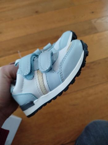 Baskets bleues