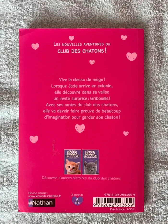 Le club des chatons - Le voyage de Gribouille - photo numéro 2