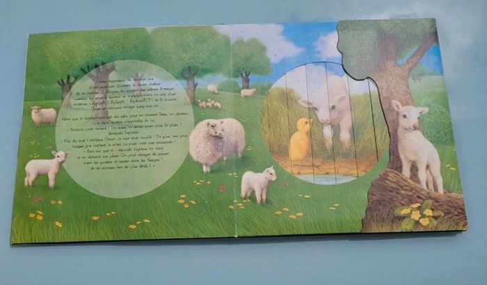 Superbe livre animé de fenêtres magiques, Il pleut petit canard.. Quatre fleuve - photo numéro 5