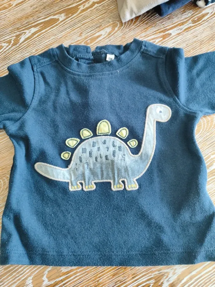 🍁 lot de 10 teeshirts manches longues taille 6 mois 🍁 - photo numéro 8