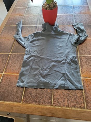 Tee shirt manches longues col roulé