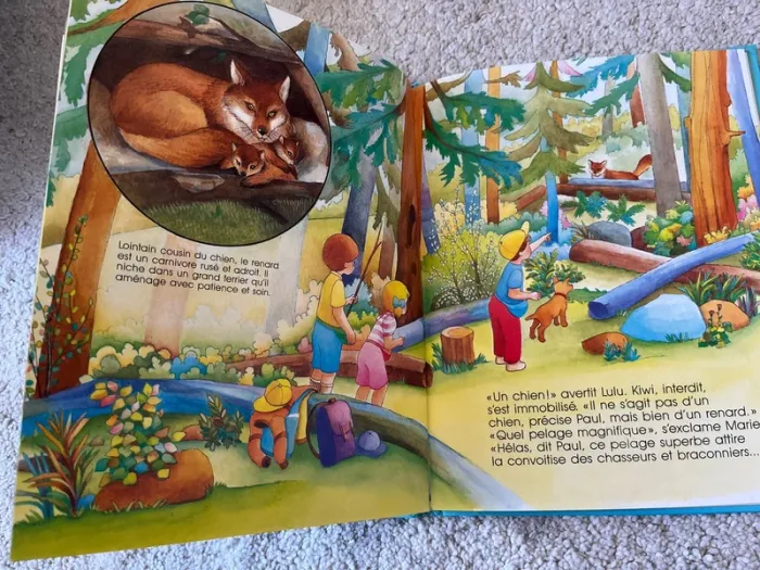 La montagne - photo numéro 2