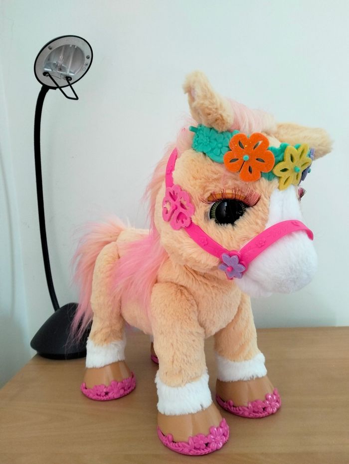 Cannelle mon poney coquette - photo numéro 2