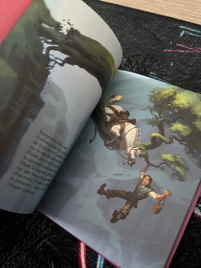 Livre raiponce quasi neuf servie une fois - photo numéro 3