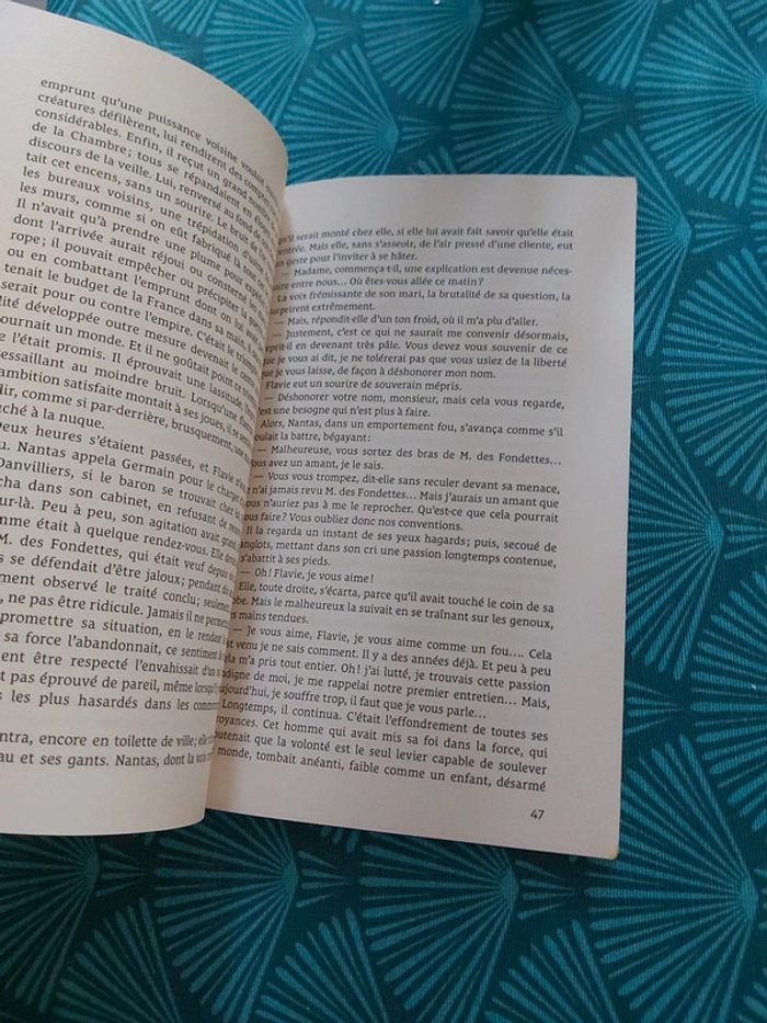 La mort d'Olivier Bécaille _ Émile Zola - photo numéro 3