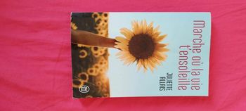 Livre marche ou la vie t ensoleille Juliette allais