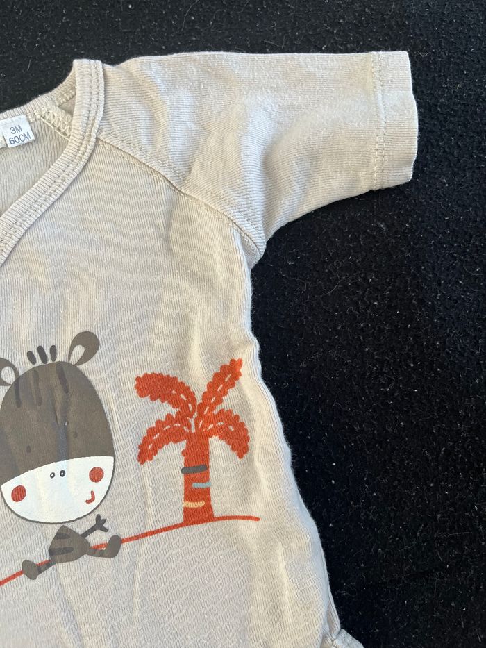 Bodie 3 mois - photo numéro 4