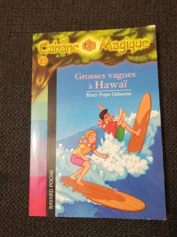 Livre la cabane magique grosses vagues à hawai