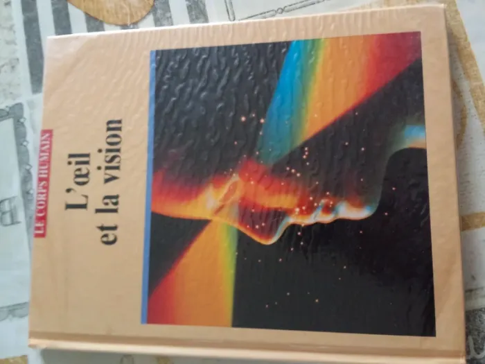 L'œil et la vision