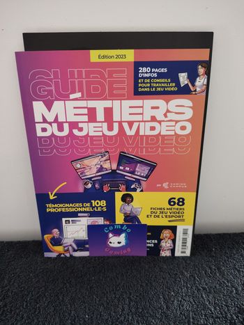 Guide, métiers du jeu vidéo